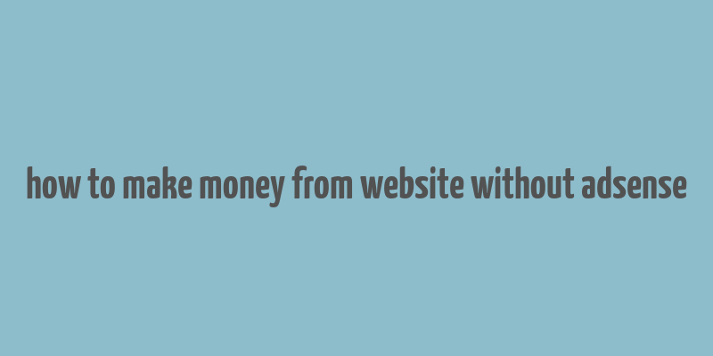 how to make money from website without adsense