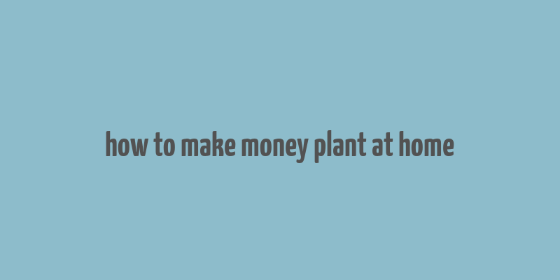 how to make money plant at home