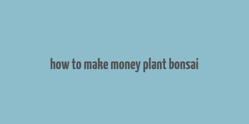 how to make money plant bonsai