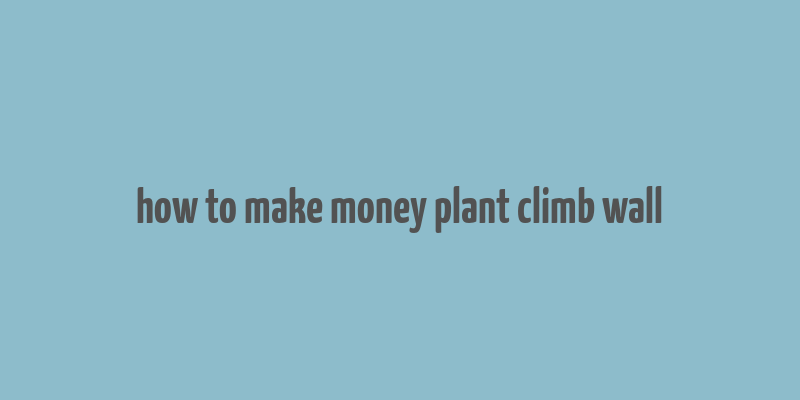 how to make money plant climb wall