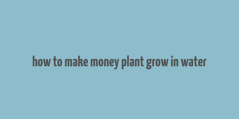 how to make money plant grow in water