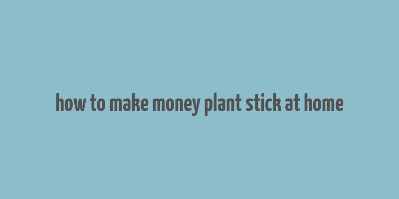 how to make money plant stick at home