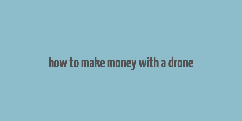 how to make money with a drone