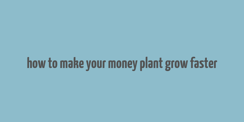 how to make your money plant grow faster