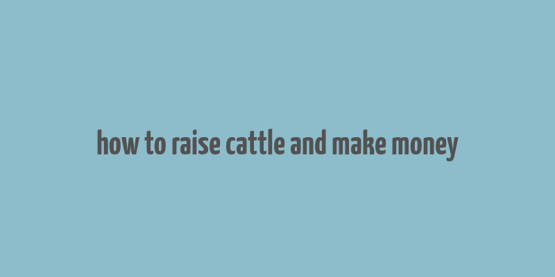 how to raise cattle and make money