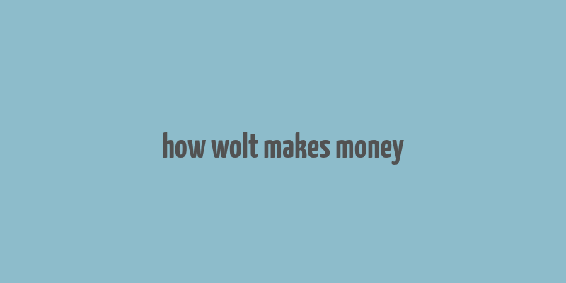 how wolt makes money