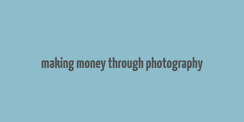 making money through photography