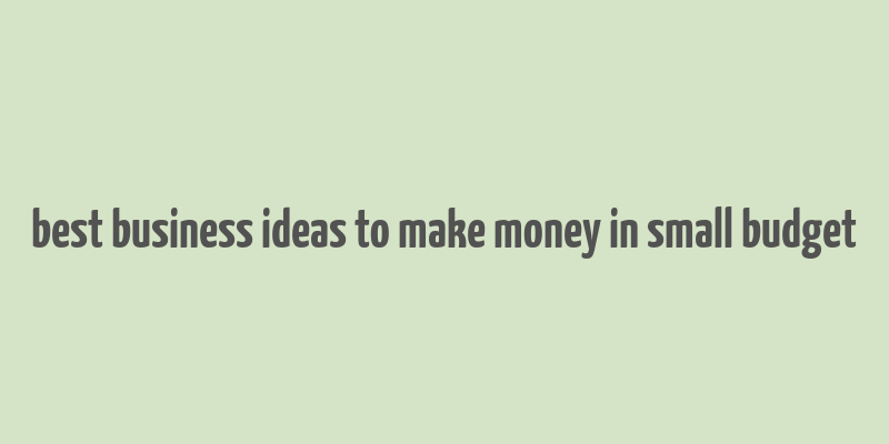 best business ideas to make money in small budget