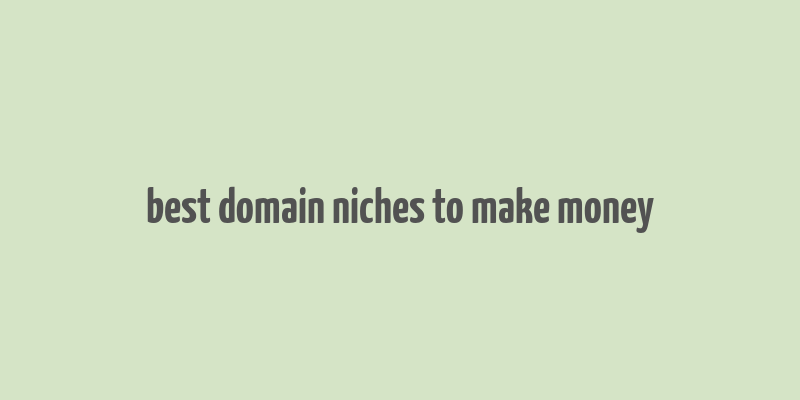 best domain niches to make money