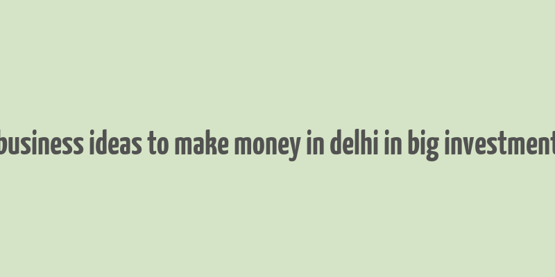 business ideas to make money in delhi in big investment