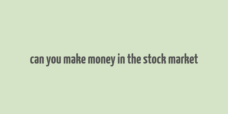 can you make money in the stock market