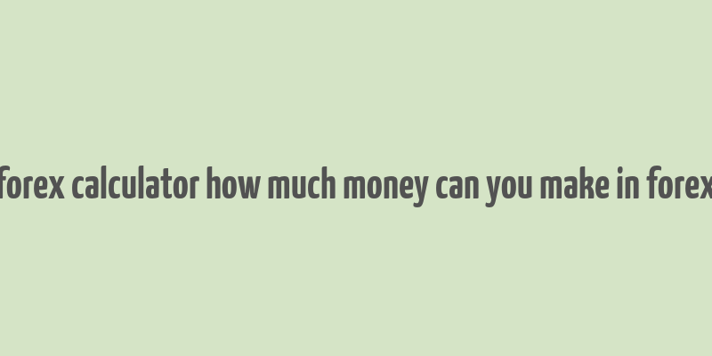 forex calculator how much money can you make in forex