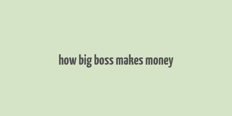 how big boss makes money