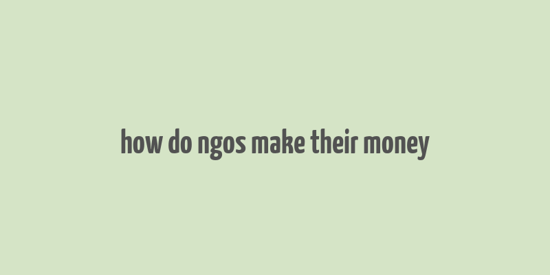 how do ngos make their money