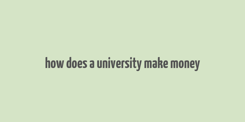 how does a university make money