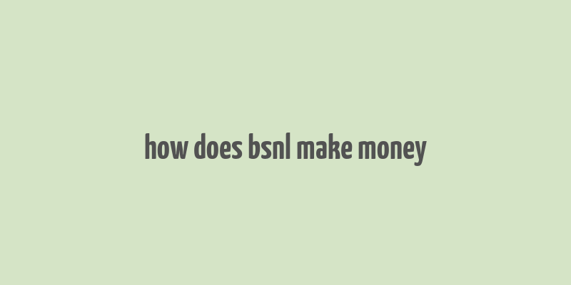 how does bsnl make money