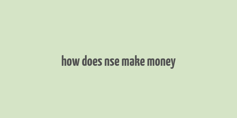 how does nse make money