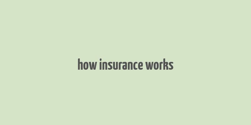 how insurance works