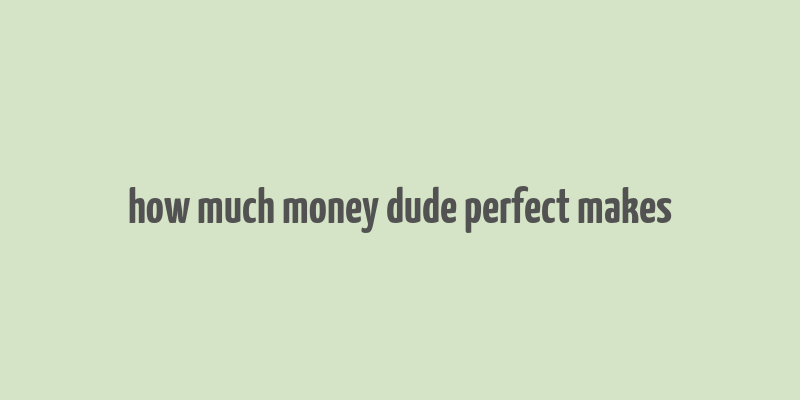 how much money dude perfect makes