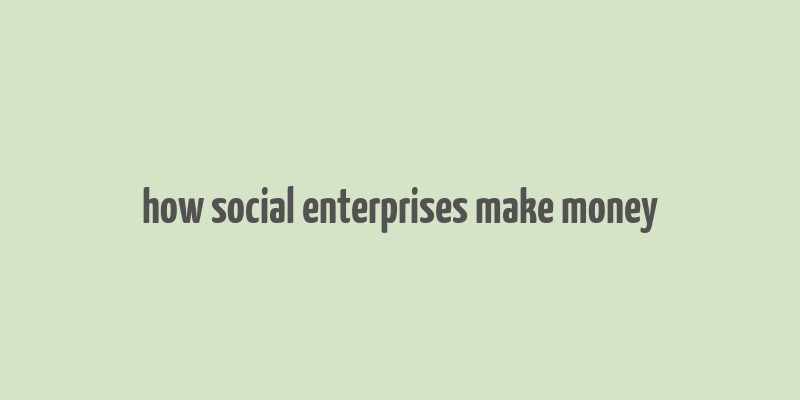 how social enterprises make money