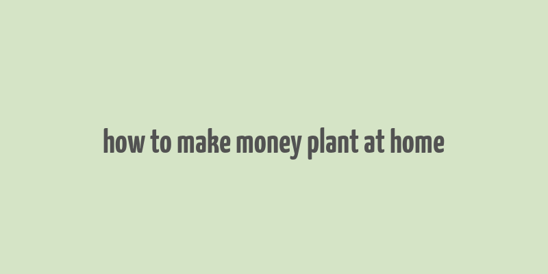 how to make money plant at home