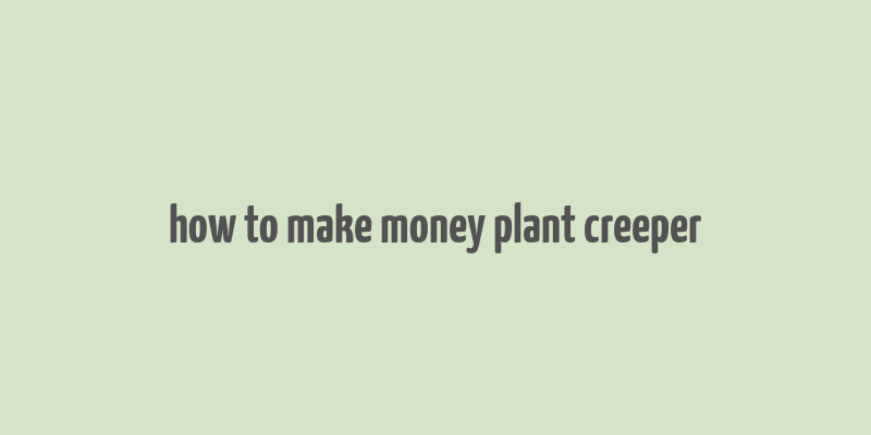 how to make money plant creeper