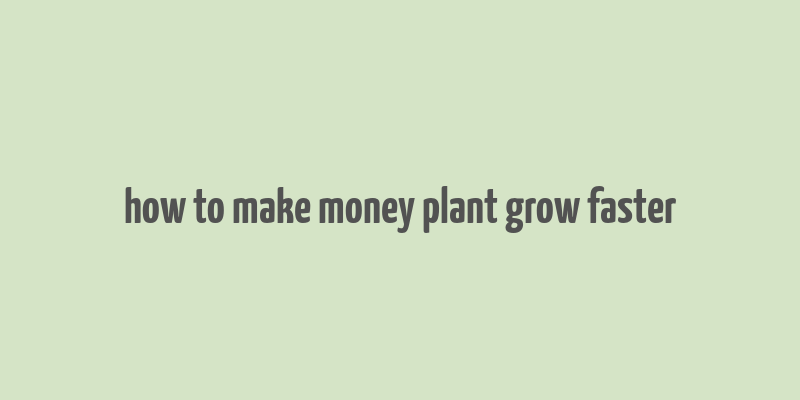 how to make money plant grow faster