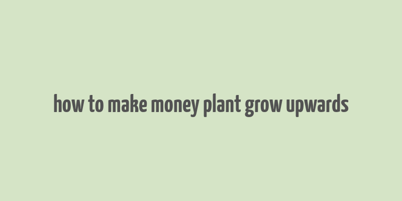 how to make money plant grow upwards