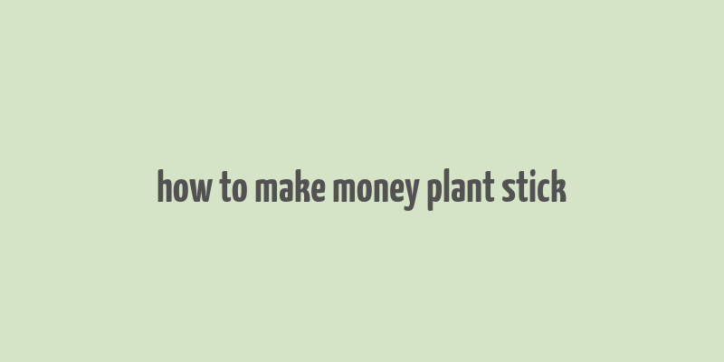 how to make money plant stick