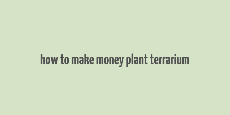 how to make money plant terrarium