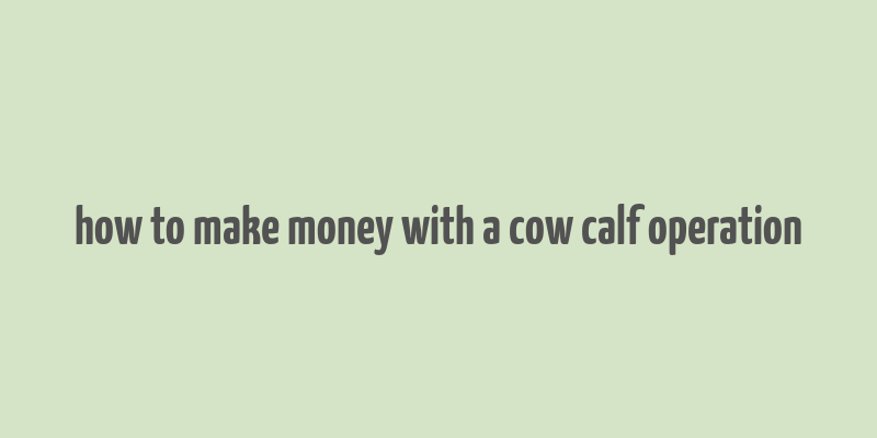 how to make money with a cow calf operation