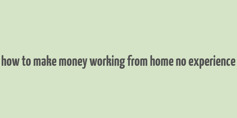 how to make money working from home no experience