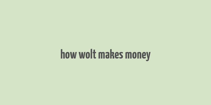 how wolt makes money