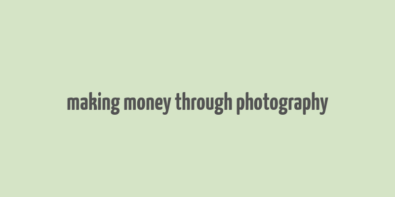 making money through photography