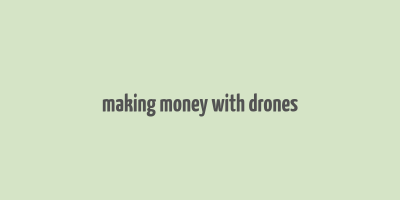 making money with drones