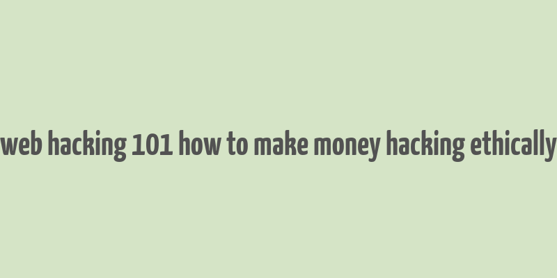 web hacking 101 how to make money hacking ethically