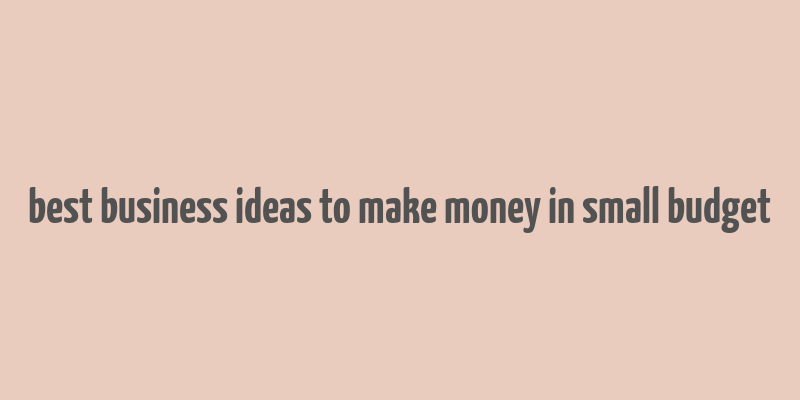 best business ideas to make money in small budget