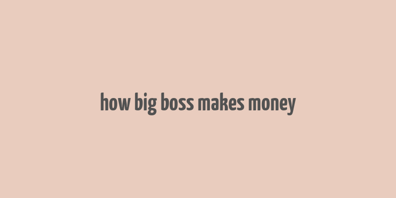 how big boss makes money