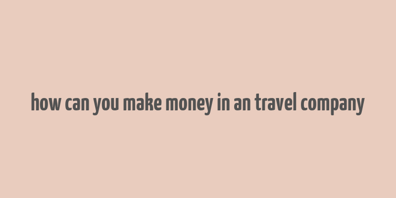 how can you make money in an travel company