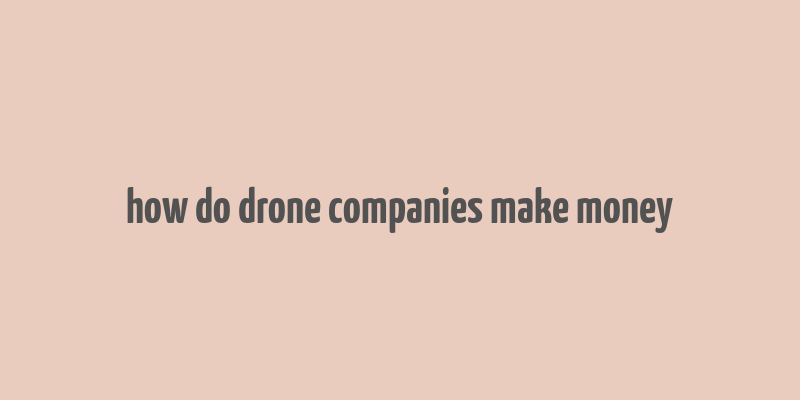 how do drone companies make money