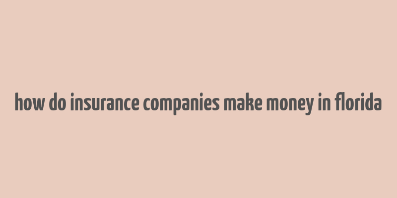 how do insurance companies make money in florida