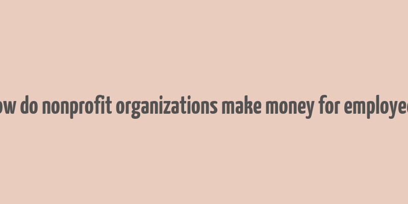 how do nonprofit organizations make money for employees