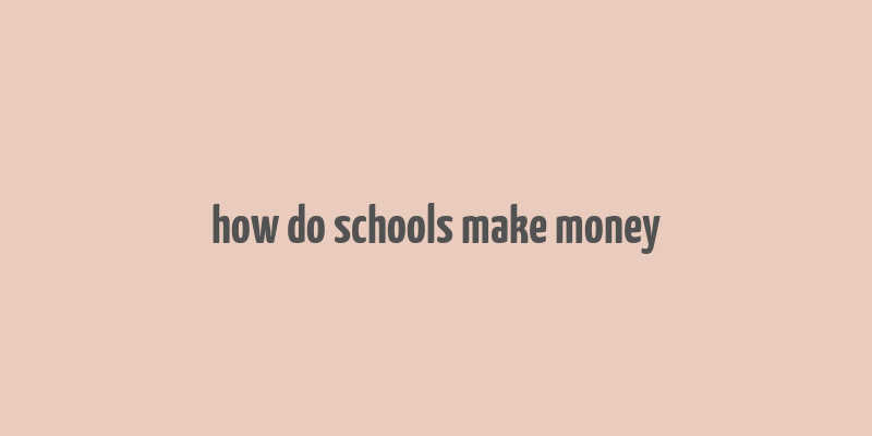 how do schools make money