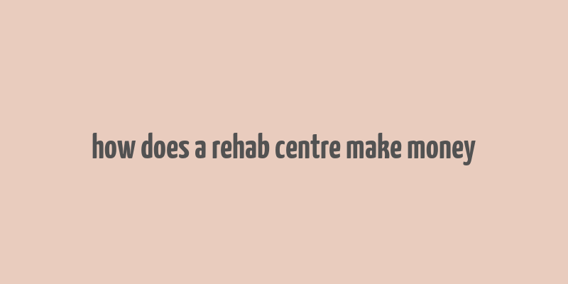 how does a rehab centre make money