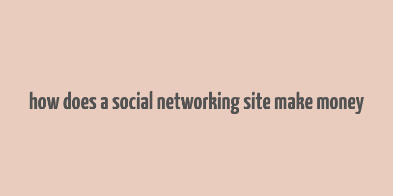 how does a social networking site make money