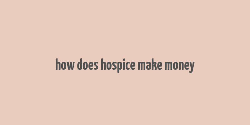 how does hospice make money