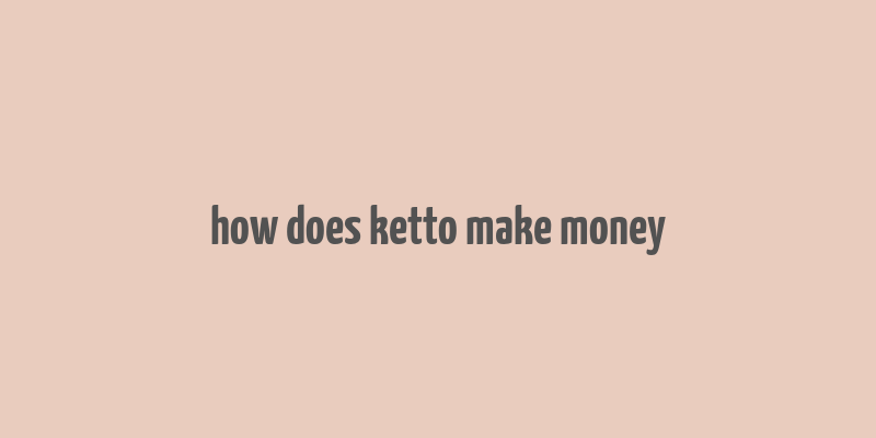 how does ketto make money