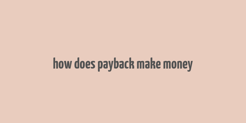 how does payback make money