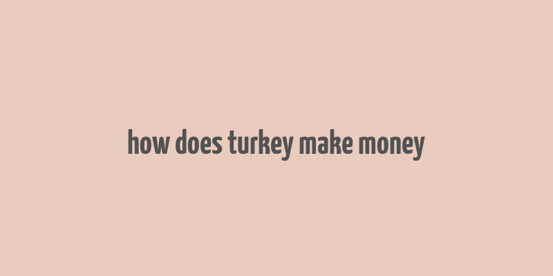 how does turkey make money