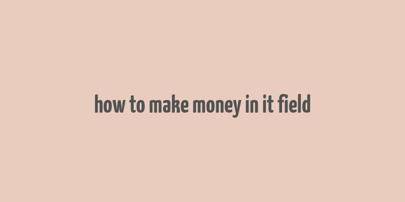 how to make money in it field